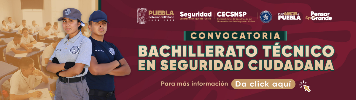 Bachillerato Técnico en Seguridad Ciudadana
