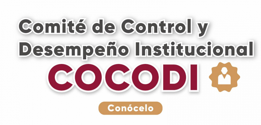 Comit&eacute; de Control y Desempe&ntilde;o Institucional (COCODI)