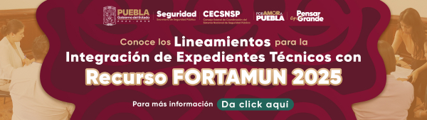 Lineamientos para la Integración de Expedientes Técnicos con Recurso FORTAMUN 2025